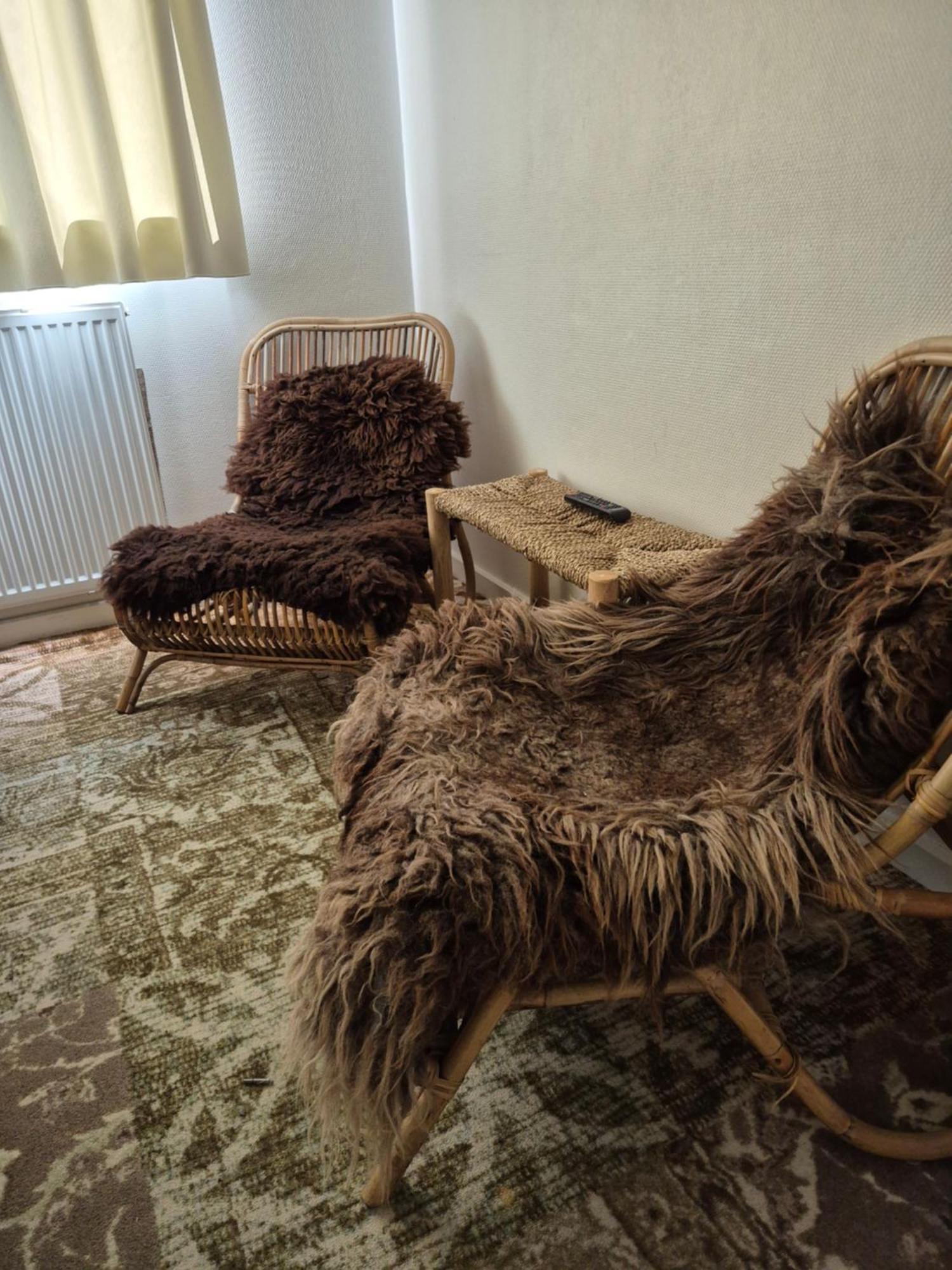 B&B De Wadvaarder Midsland Extérieur photo